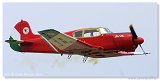 Yak-18 - Sky Huszars