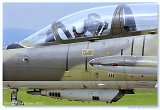 L-39ZA Albatros
