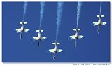 L-39C Biele Albatrosy