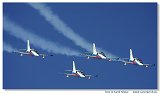 L-39C Biele Albatrosy
