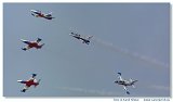 L-39C Biele Albatrosy