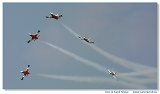L-39C Biele Albatrosy