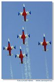 L-39C Biele Albatrosy