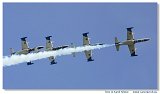L-39C Biele Albatrosy
