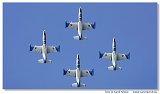 L-39C Biele Albatrosy