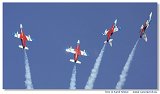 L-39C Biele Albatrosy