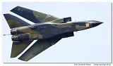 Tornado IDS 