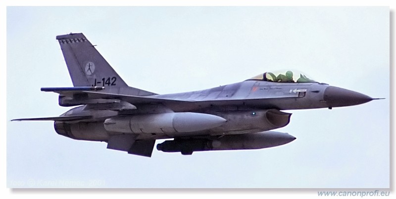 CIAF Hradec Krlov 2001