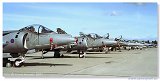 Flight Line 