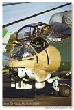 Mil Mi-24D 