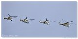 Mi-24D - Mi-24 Team 