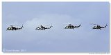 Mi-24D - Mi-24 Team 