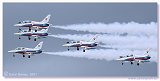 L-39C - Biele Albatrosy 