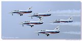 L-39C - Biele Albatrosy 