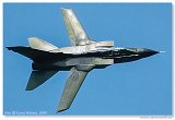 Tornado IDS 