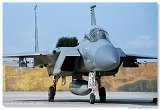 McDonnell Douglas F-15D Eagle 