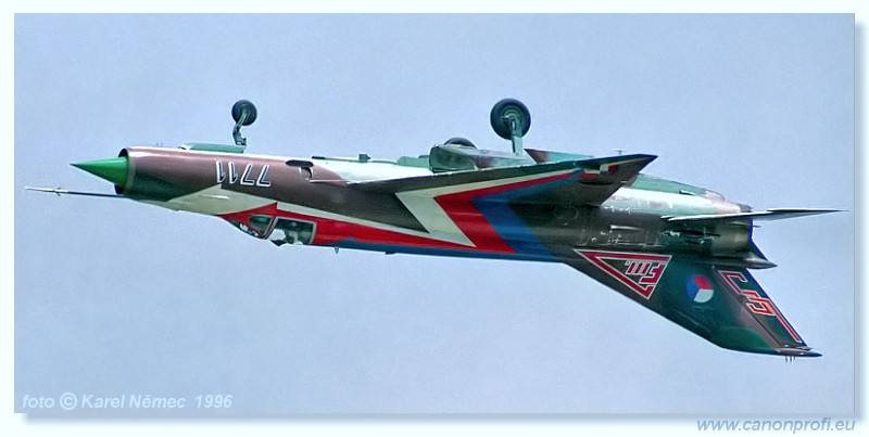 1996 - CIAF Hradec Krlov