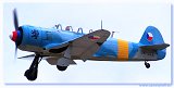 C-11 