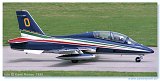 Frecce Tricolori 