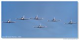 Aero L-39C Albatros - Biele Albatrosy 