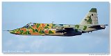 Sukhoi Su-25K 