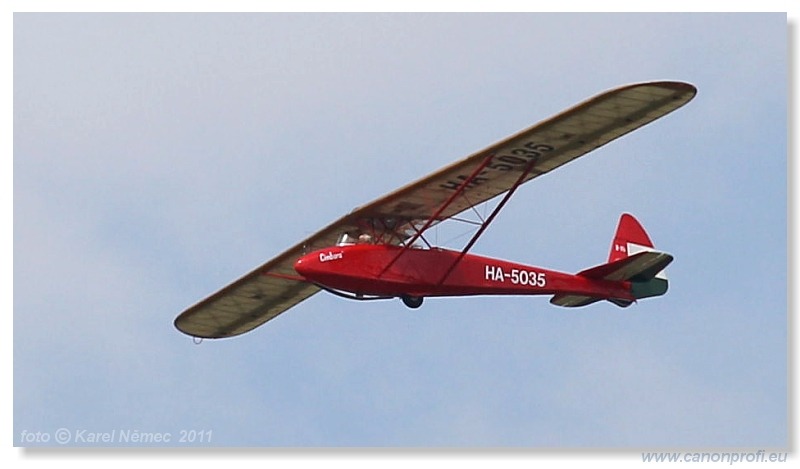 Vintage Glider Club Rally 2011