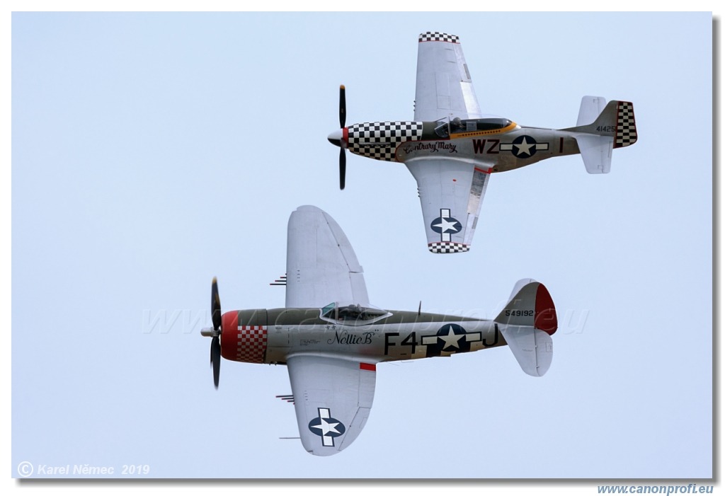 Air Festival 2019  -  USAAF Fighters