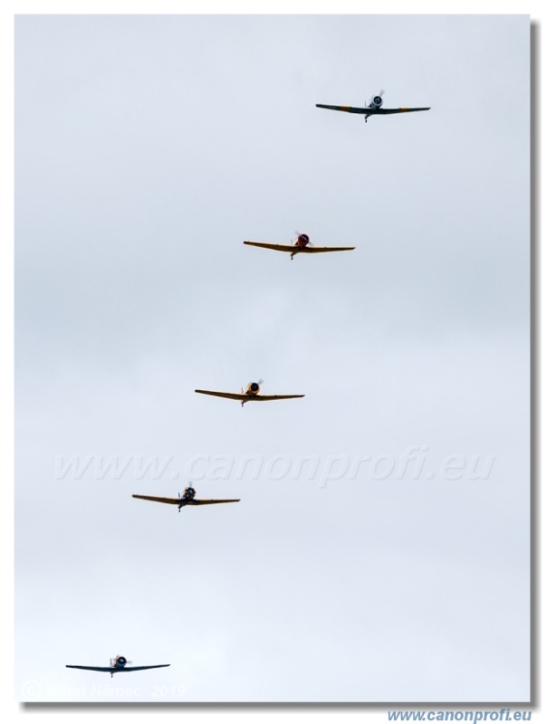 Daks over Duxford