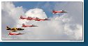 Patrouille Suisse - Northrop F-5E Tiger II