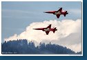 Patrouille Suisse - Northrop F-5E Tiger II