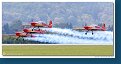 Royal Jordanian Falcons 