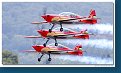 Royal Jordanian Falcons 