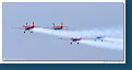 Royal Jordanian Falcons 