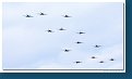 Spitfire Formation - 13x 