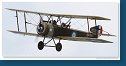 Sopwith Strutter