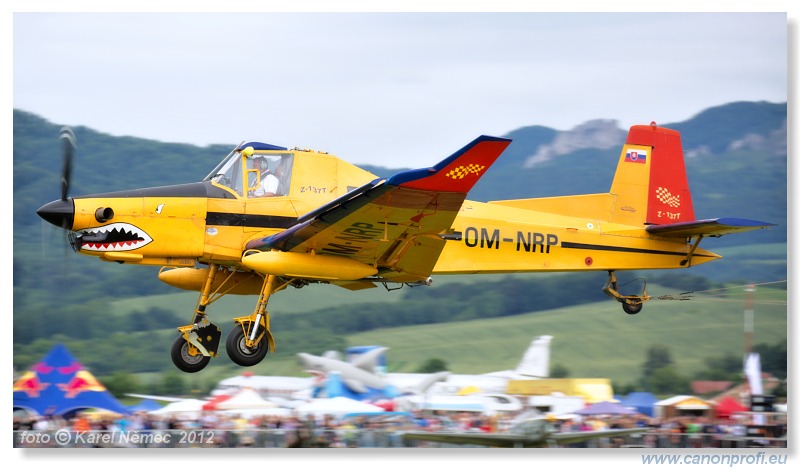 Slavnica Airshow 2012