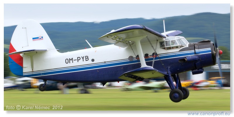 Slavnica Airshow 2012