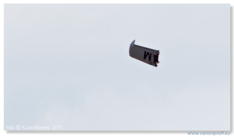 Flying Legends Duxford 2011