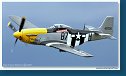 North American P-51D Mustang