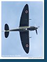 Supermarine Seafire F XVII