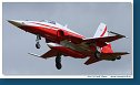 Patrouille Suisse - F-5E Tiger