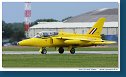 Gnat T1