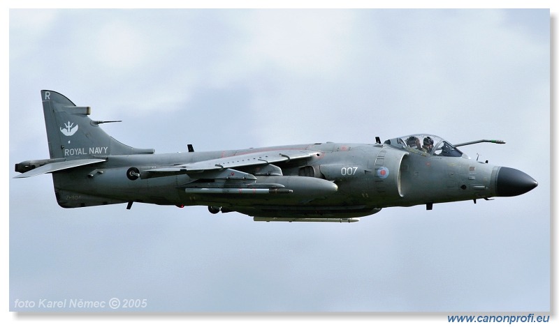 Victory Day Duxford 2005