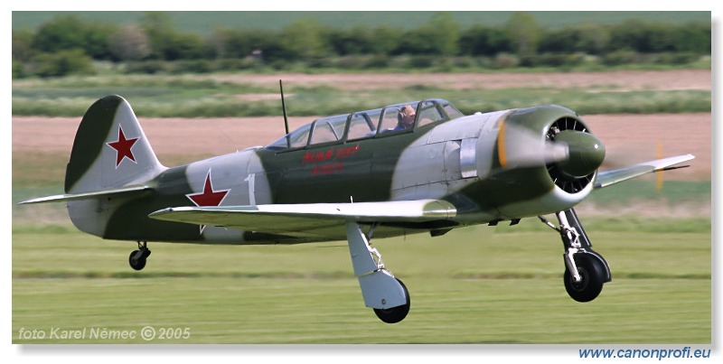 Victory Day Duxford 2005