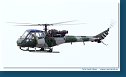 Westland Scout AH1