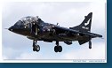 BAe Harrier T8  