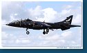 BAe Harrier T8  