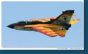 Panavia Tornado ECR