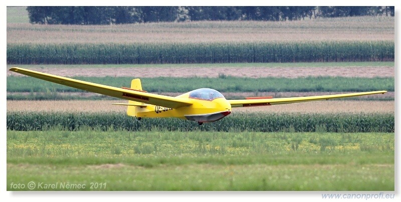 Vintage Glider Club Rally 2011