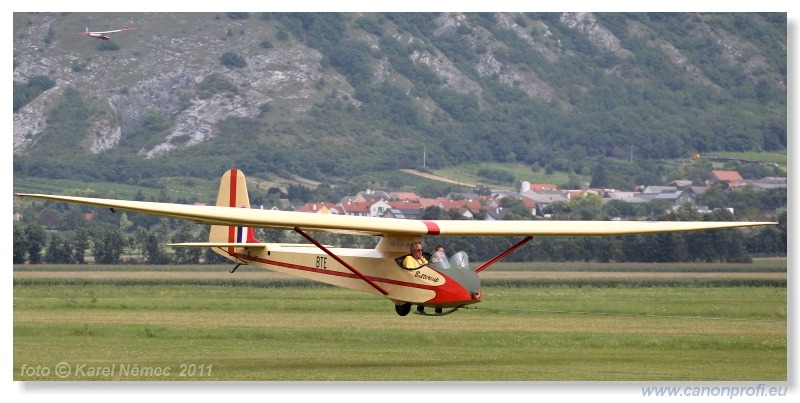 Vintage Glider Club Rally 2011